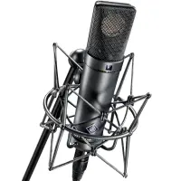 Neumann U 89 i mt Студийный микрофон,