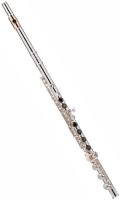 Флейта Powell Sonaré PS75CGF-40613-2-0