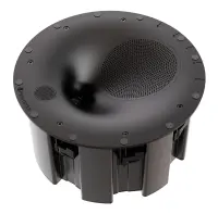Встраиваемая акустика Perlisten Audio R3ic