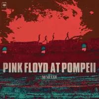 Виниловая пластинка Pink Floyd - Pompeii Anno Domini MCMLXXI D.C. (Black Vinyl 2LP)