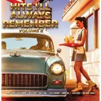 Виниловая пластинка Various - Hits I Ll Always Remember Vol.2 (Black Vinyl LP)