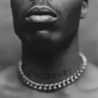 Виниловая пластинка DMX - Exodus