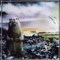 Виниловая пластинка Неприкасаемые - Брел, брел, брел (Black Vinyl 2LP)