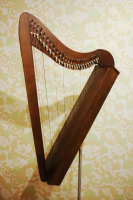 AMH-26 Harpick Арфа малая, БалалайкерЪ