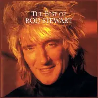 Виниловая пластинка Rod Stewart - The Best Of (Black Vinyl LP)