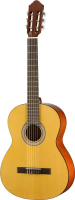 Walden N350W Гитара классическая, в/дека - ель, н/дека и обечайки - махагон, лакированная, чехол
