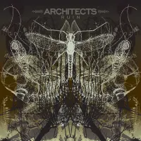 Виниловая пластинка Ruin - Architects (180 Gram Black Vinyl LP)