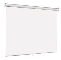 Настенный экран Lumien [LEP-100106] Eco Picture 127х127см (рабочая область 121х121 см) Matte White