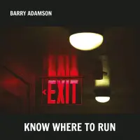 Виниловая пластинка Adamson, Barry - Know Where To Run (Silver Vinyl LP)