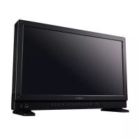 DP-V2410 4K дисплей Canon