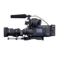 EOS C700 EF камера Canon