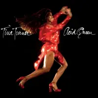 Виниловая пластинка Tina Turner - Acid Queen (Black Vinyl LP)