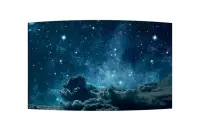 OLED дисплей LG [55EF5K-P] для изогнутых видео-стен