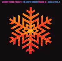 Виниловая пластинка Various Artists - Warren Haynes Presents: The Benefit Concert Volume 20 Vinyl Vol. 2 (Orange Vinyl 2LP)