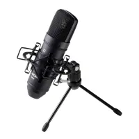 Микрофон конденсаторный [TM80B] Tascam [TM-80 (B)] кардиоидный, диафрагма: 18 мм, 20-20000 Гц, 200 Ом, -38 дБ, 136 дБ, S/N: 77 дБ, цвет: черный