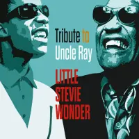 Виниловая пластинка Stevie Wonder – Tribute To Uncle Ray (Black Vinyl LP)