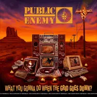 Виниловая пластинка Public Enemy – What You Gonna Do When The Grid Goes Down?