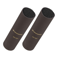 MKH 8040 STEREOSET комплект из двух MKH 8040 с аксессуарами Sennheiser