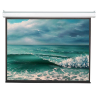 Экран моторизированный ViewScreen Antis Pro (4:3) 557*439 (545*409) MW (с пультом)