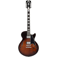 D'angelico premier ss brown burst