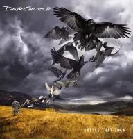 Виниловая пластинка David Gilmour RATTLE THAT LOCK (180 Gram)