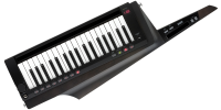 KORG RK100S-2 BK программируемый аналоговый синтезатор-клавитара