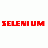 SELENIUM / Бразилия