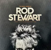 Виниловая пластинка Various Artists - The Many Faces Of Rod Stewart  (Crystal Amber Vinyl 2LP)