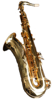 Tenor saxophone Aizen Jazz Master TSP2R-GL - Professional tenor saxophone with soldered tone hole rings.