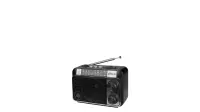 Радиоприемник Ritmix RPR-161