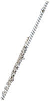 Флейта Pearl Cantabile Limited F-CD958RBE-14KR