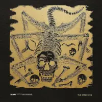 Виниловая пластинка The Offspring - Ixnay On The Hombre (Limited Edition 180 Gram Coloured Vinyl LP)