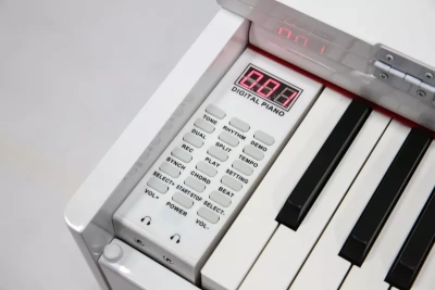 546805