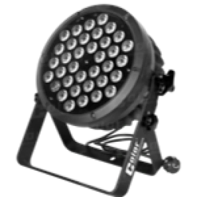 619005