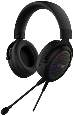Наушники с микрофоном Acer AHW120 черный 2.1м мониторные USB (ZL.HDSCC.01C)