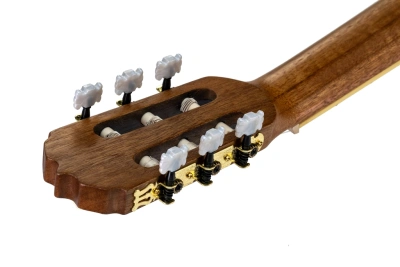 244594
