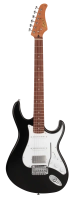 355666