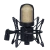 320371 320371